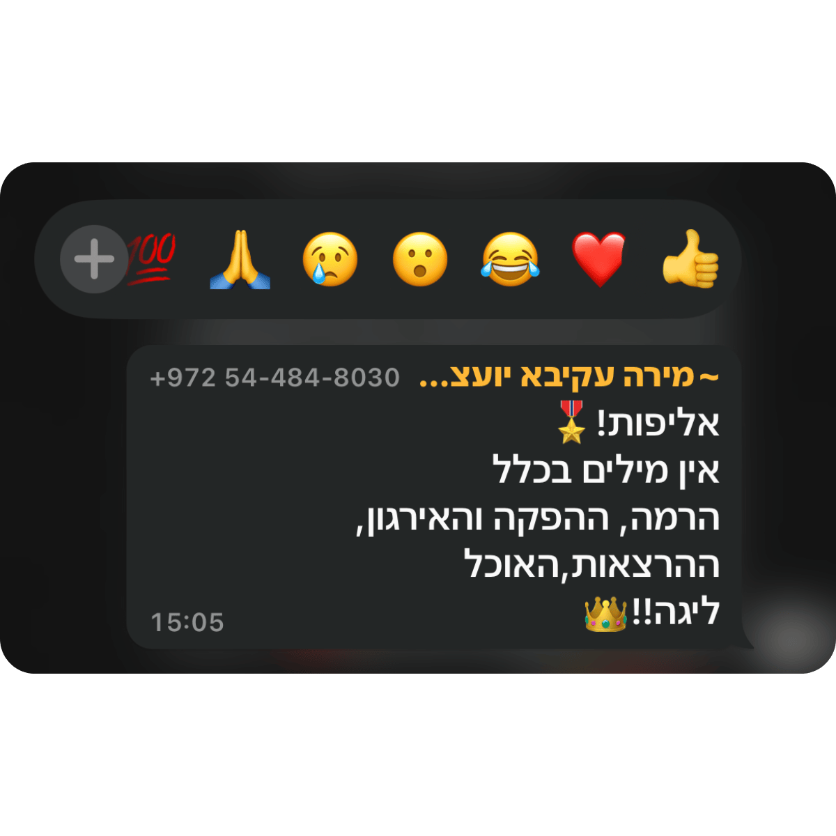 קהילת BNF -תגובות מאירוע השקה (27)