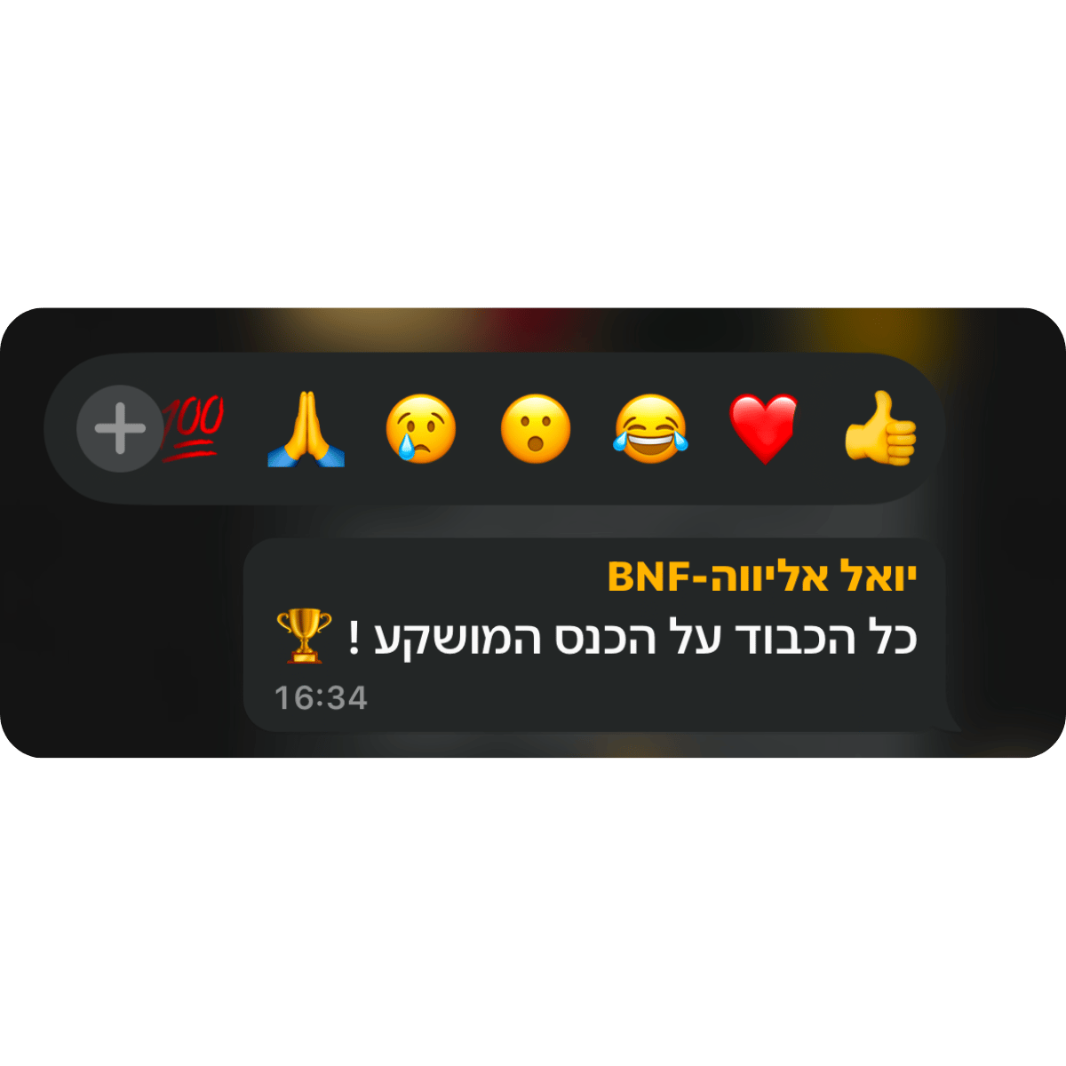 קהילת BNF -תגובות מאירוע השקה (27)