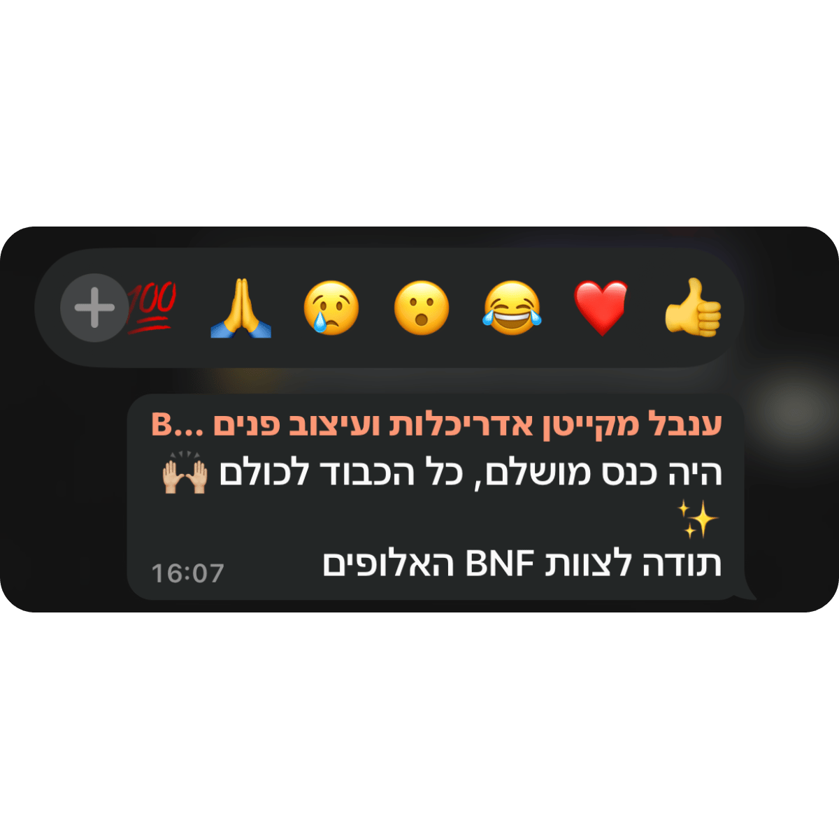 קהילת BNF -תגובות מאירוע השקה (27)